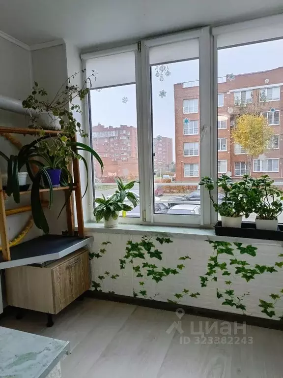 2-к кв. Самарская область, Тольятти Спортивная ул., 41 (55.0 м) - Фото 2