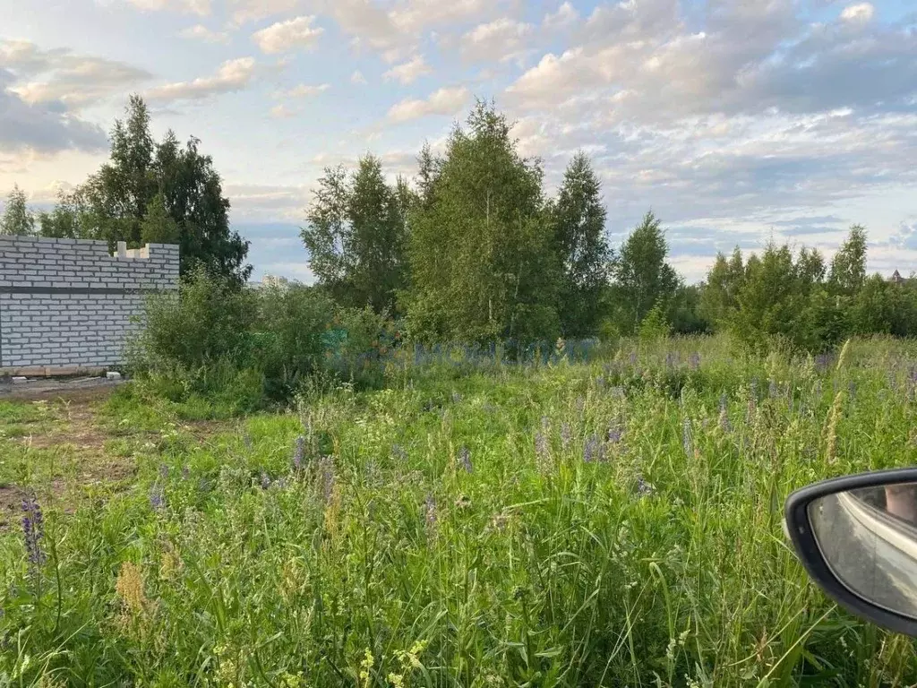 Участок в Нижегородская область, Нижний Новгород Надежда ТИЗ, 512 (8.0 ... - Фото 1