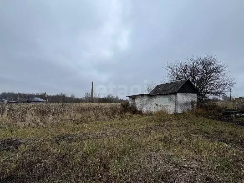 Участок в Брянская область, Брянский район, Снежское с/пос, с. ... - Фото 1