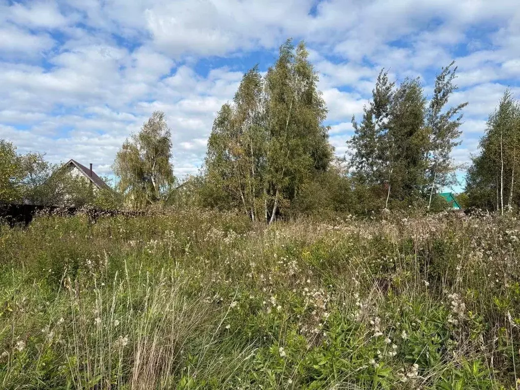 Участок в Московская область, Воскресенск городской округ, д. Щельпино ... - Фото 1