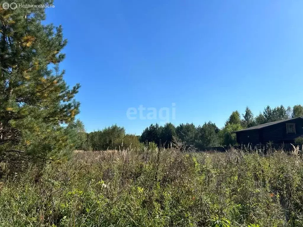 Участок в муниципальное образование Новосельское, село Марьино (24.5 ... - Фото 0