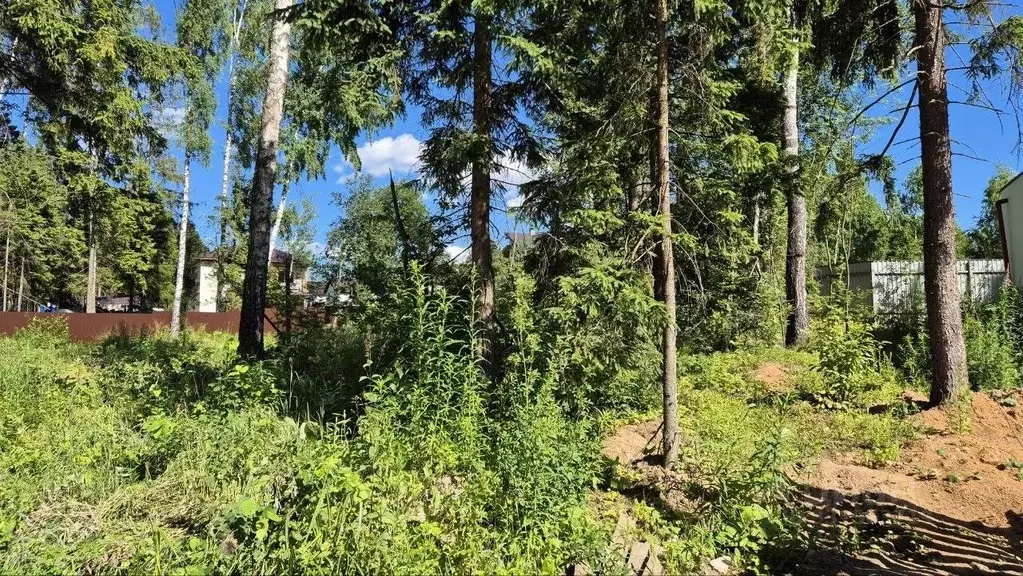 Участок в Московская область, Солнечногорск городской округ, ... - Фото 1