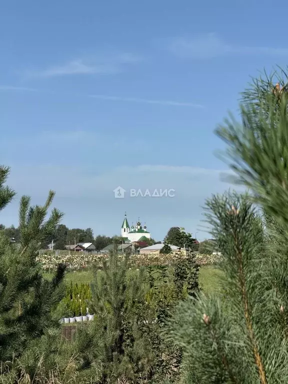 Участок в Владимирская область, Ковровский район, Доброград ... - Фото 1