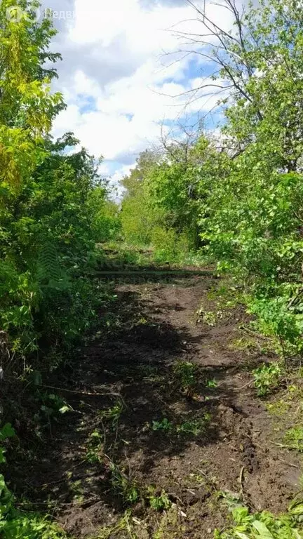 Участок в Саратов (7.74 м) - Фото 1