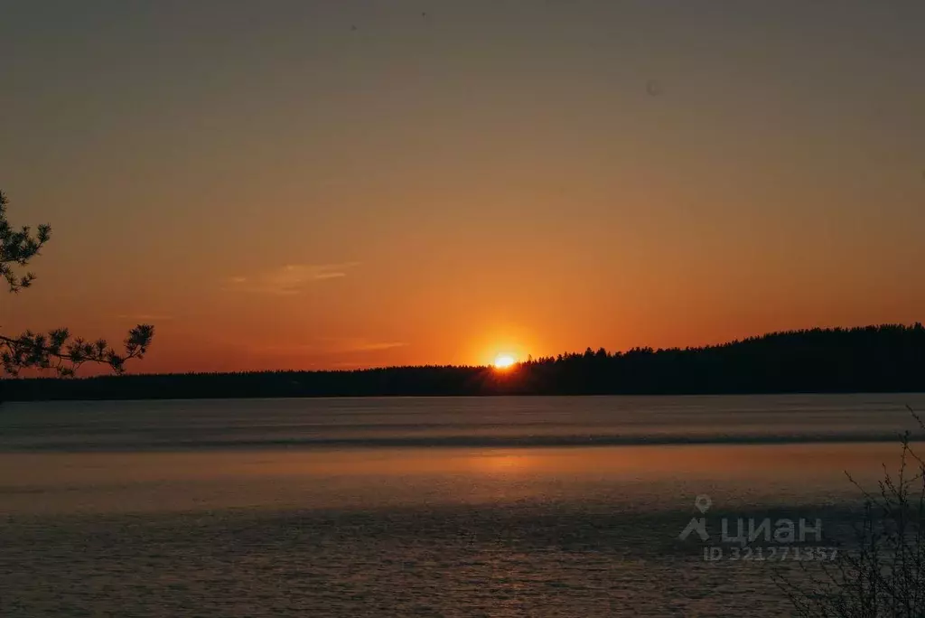 Участок в Ленинградская область, Всеволожский район, Лесколовское ... - Фото 2