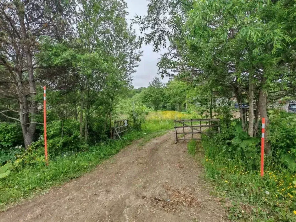 Участок в Сахалинская область, Анивский городской округ, с. Троицкое ... - Фото 0