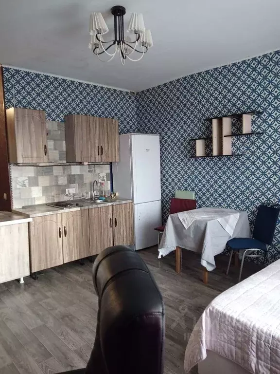 Студия Московская область, Электросталь ул. Ялагина, 13б (28.0 м) - Фото 1