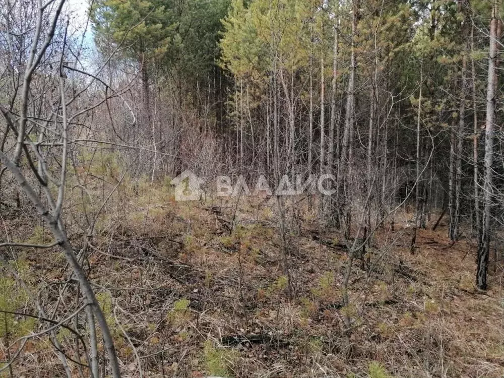 Участок 15 сот. (ИЖС) - Фото 0