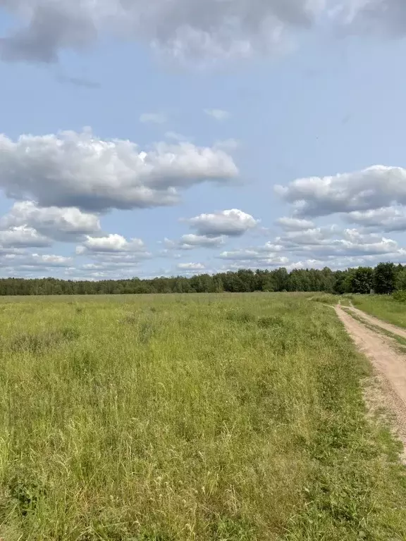 Участок в Московская область, Клин городской округ, с. Воздвиженское  ... - Фото 0