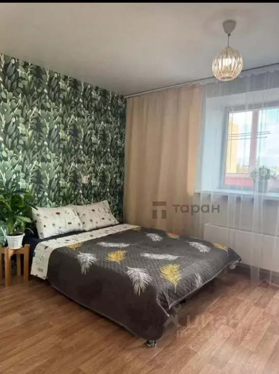Студия Челябинская область, Копейск ул. Петра Томилова, 15Б (28.0 м) - Фото 2