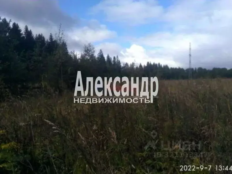 Участок в Ленинградская область, Волховский район, Вындиноостровское ... - Фото 1