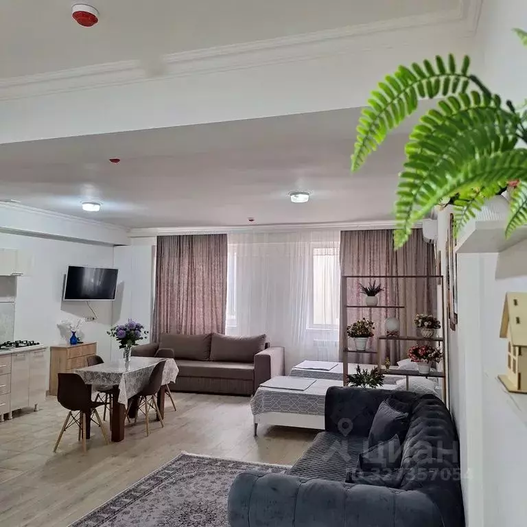 Студия Чеченская республика, Грозный Петропавловское ш., 10Б (42.0 м) - Фото 2