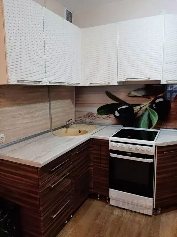 Студия Удмуртия, Ижевск Нижняя ул., 2 (28.0 м) - Фото 2