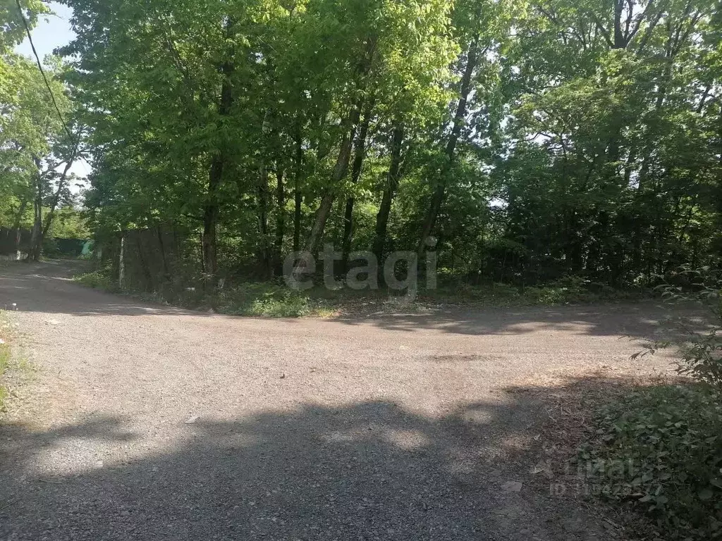 Участок в Приморский край, Владивосток Подъемная ул. (1228.0 сот.) - Фото 1