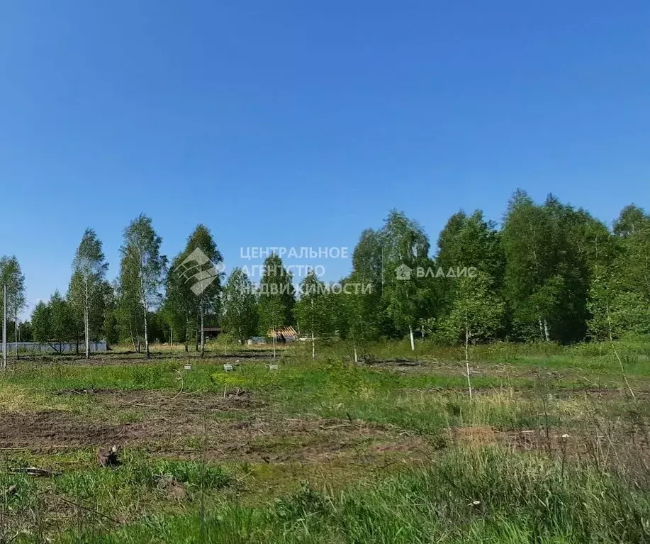 Участок в Рязанская область, Рязанский район, Дубровическое с/пос, с. ... - Фото 0
