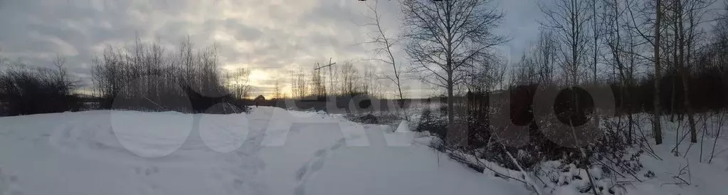 Участок 5,2 сот. (СНТ, ДНП) - Фото 0