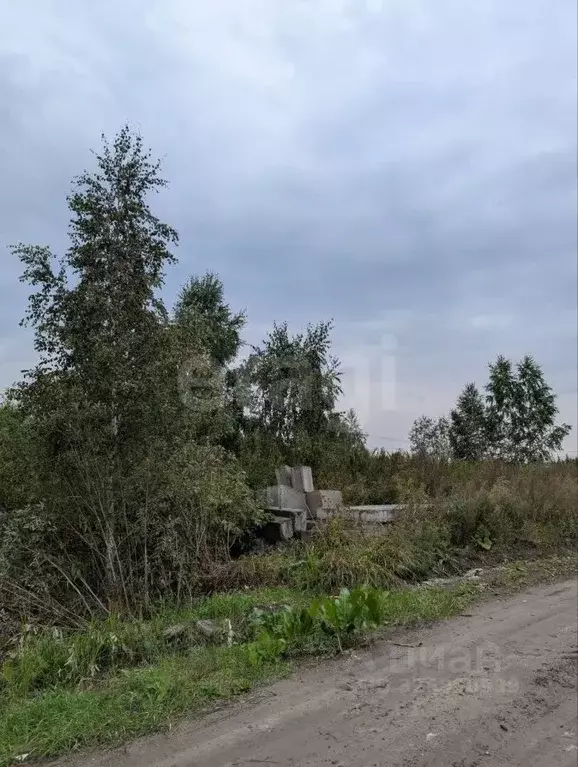 Участок в Тюменская область, Тюмень Поле Чудес садовое товарищество, ... - Фото 2