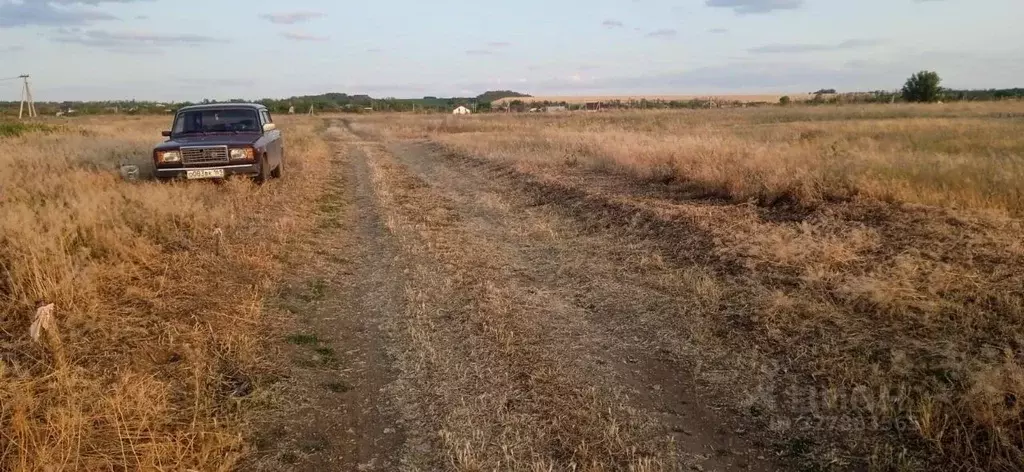 Участок в Ростовская область, Мясниковский район, Большесальское ... - Фото 1