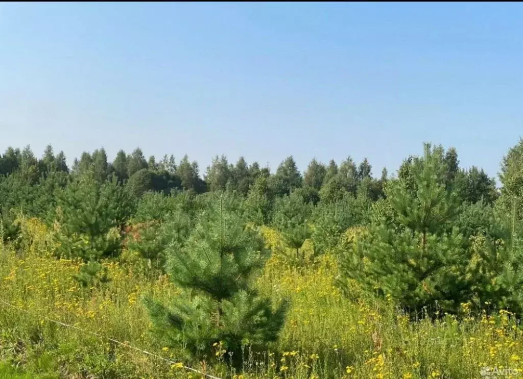 Участок в Московская область, Раменское ул. Июльская (6.0 сот.) - Фото 1