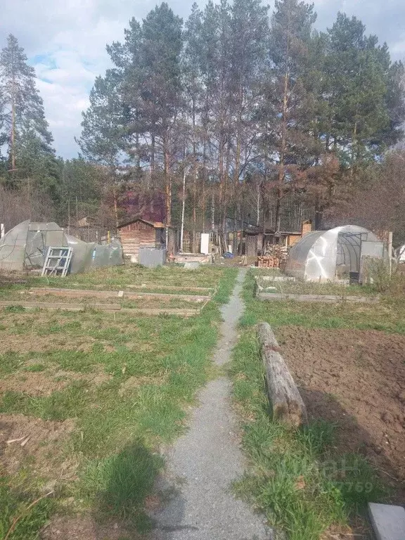 Участок в Свердловская область, Екатеринбург ССК Рассвет-1 тер., 53 ... - Фото 1