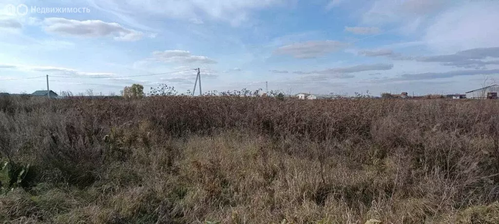 Участок в Свердловская область, Белоярский муниципальный округ, ... - Фото 2