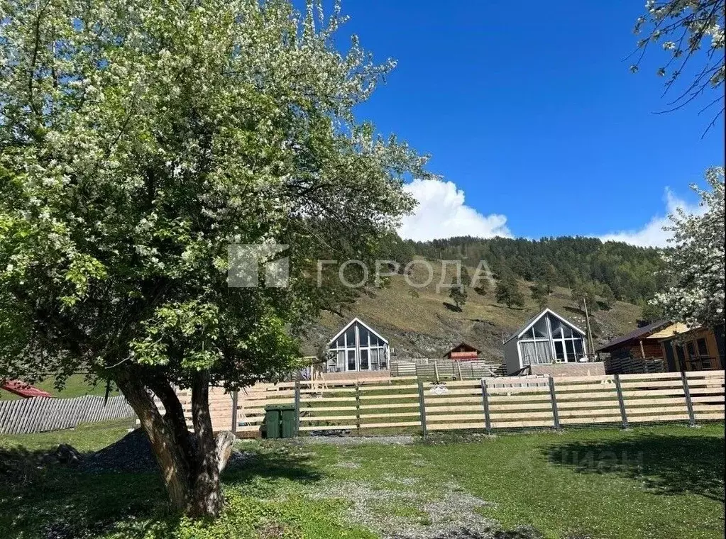 Дом в Алтай, Чемальский район, Элекмонарское с/пос, с. Элекмонар ул. ... - Фото 1