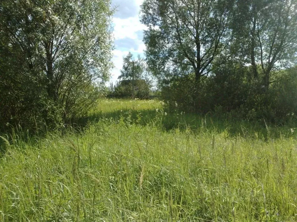 Участок в Владимирская область, Александровский район, Андреевское ... - Фото 1