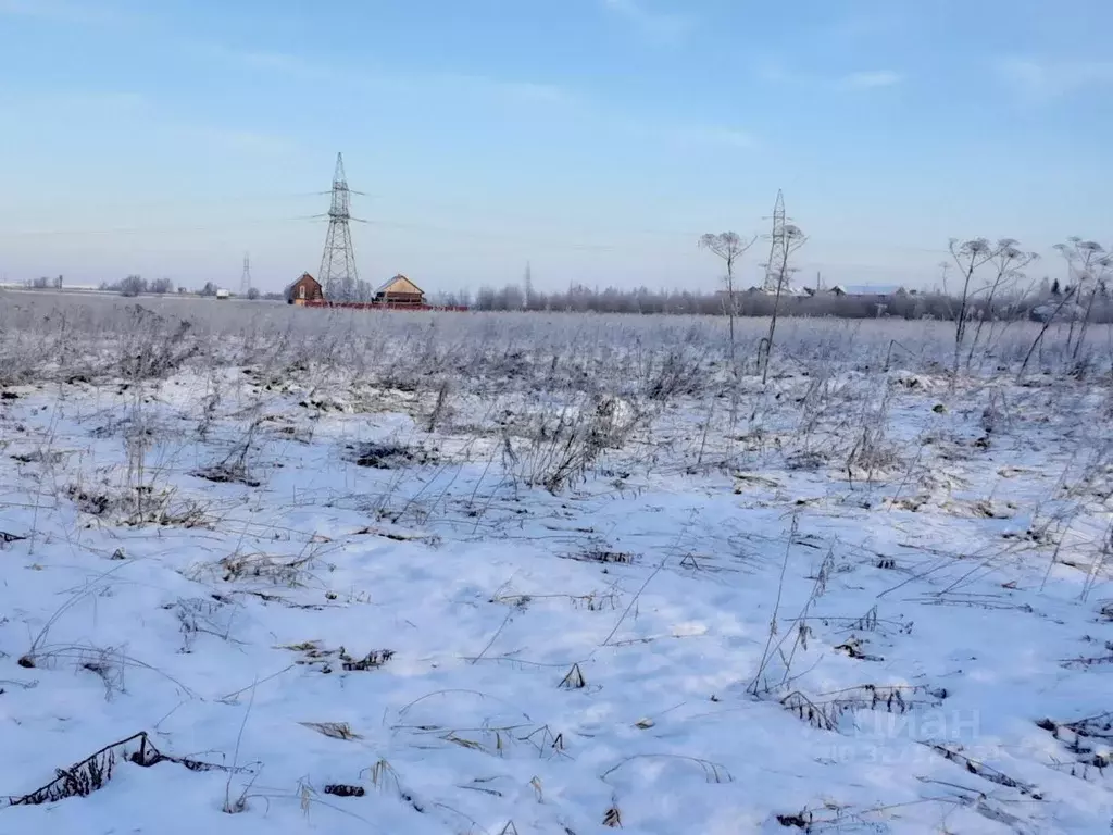 Участок в Псковская область, Псковский район, Завеличенская волость, ... - Фото 2