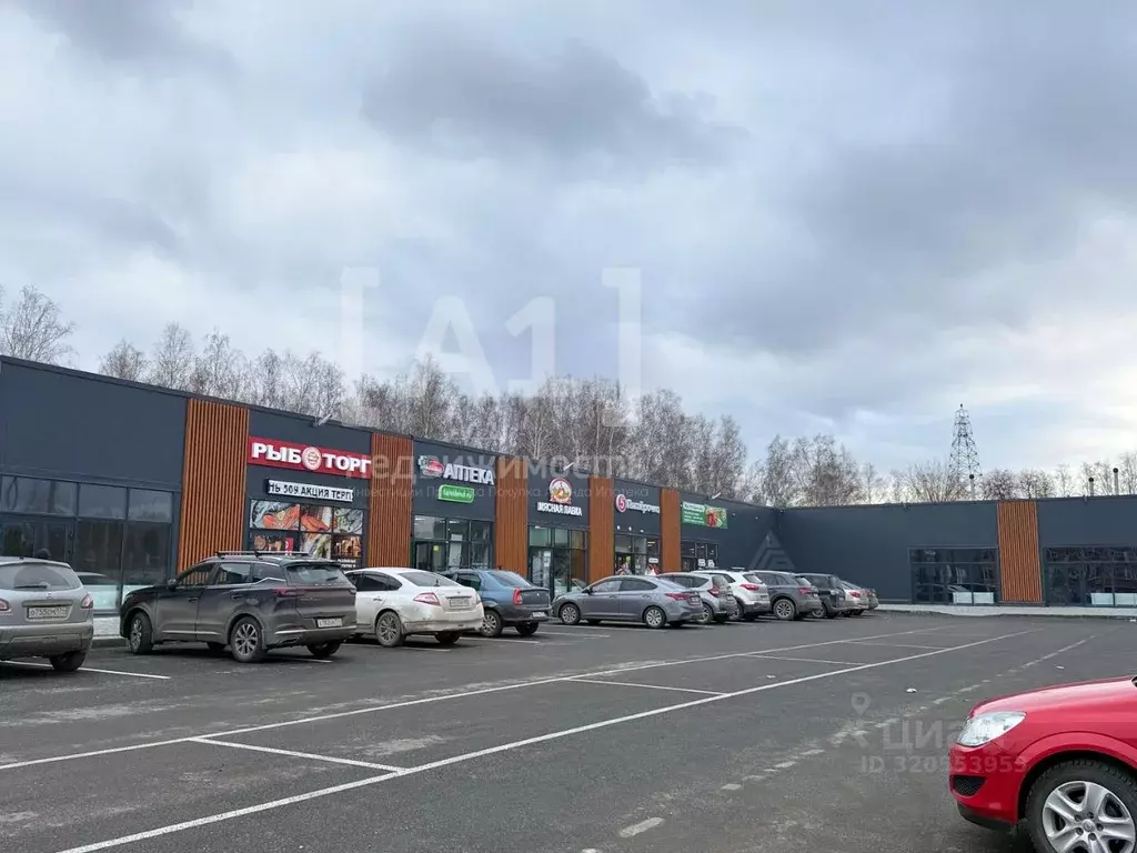 Торговая площадь в Челябинская область, Сосновский муниципальный ... - Фото 2