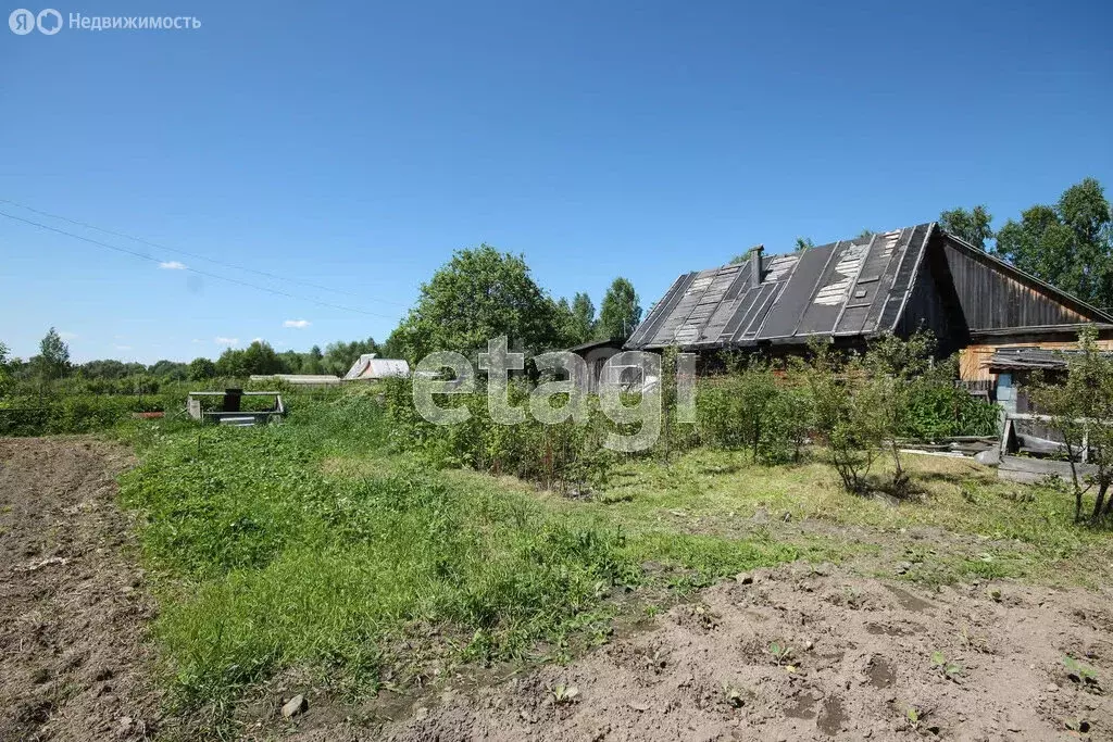 Дом в деревня Нижние Аремзяны, Сибирская улица (53.1 м) - Фото 1