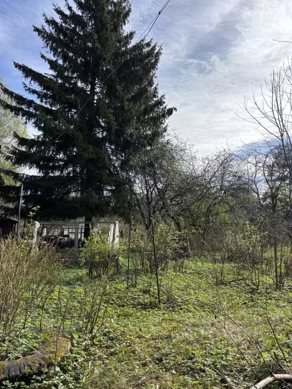 Участок в Санкт-Петербург 2-я Утиная ул., 13 (16.34 сот.) - Фото 1