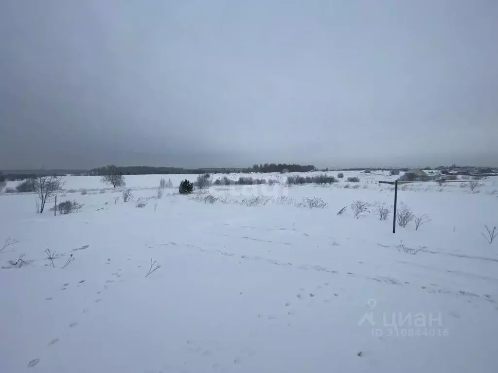 Участок в Кемеровская область, Прокопьевск Молодежная ул. (15.0 сот.) - Фото 1