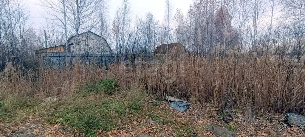 Участок в Тюменская область, Тюмень СОСН Березка-3 тер., ул. 18-я (7.8 ... - Фото 1