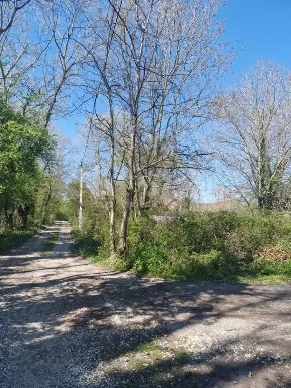 Участок в Краснодарский край, Геленджик городской округ, с. Береговое ... - Фото 1