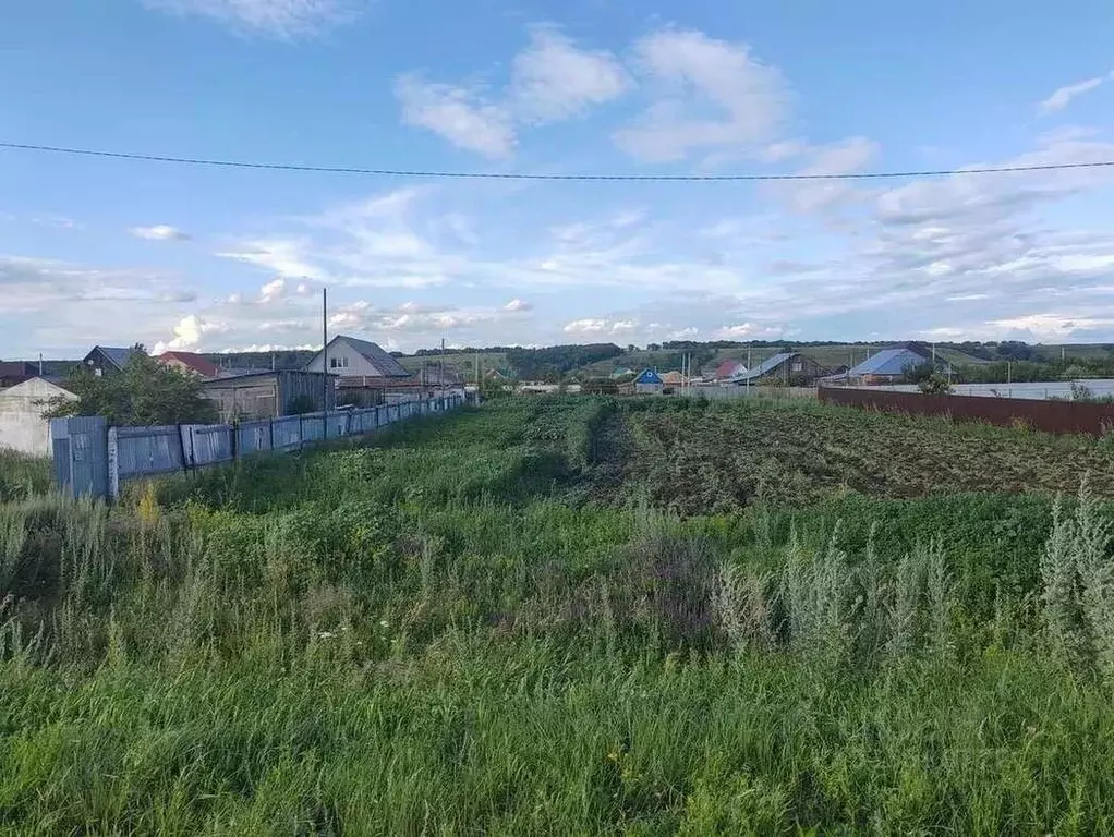 Участок в Оренбургская область, Бузулукский район, с. Сухоречка ... - Фото 1
