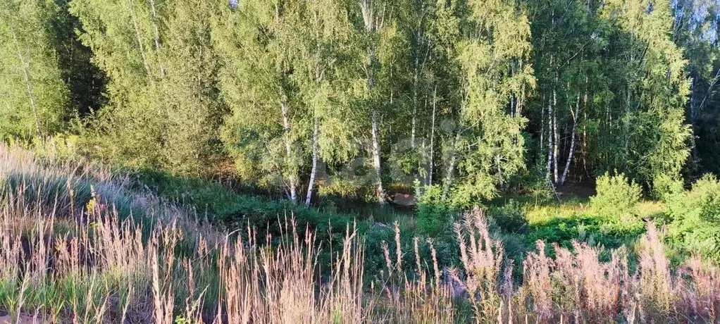 участок в смоленская область, смоленский муниципальный округ, . - Фото 0