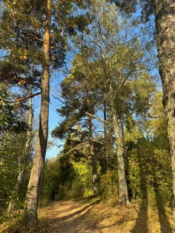 Участок в Москва № 16 кв-л, 64 (7.5 сот.) - Фото 1