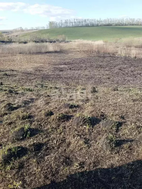 Участок 2,3 га (СНТ, ДНП) - Фото 0