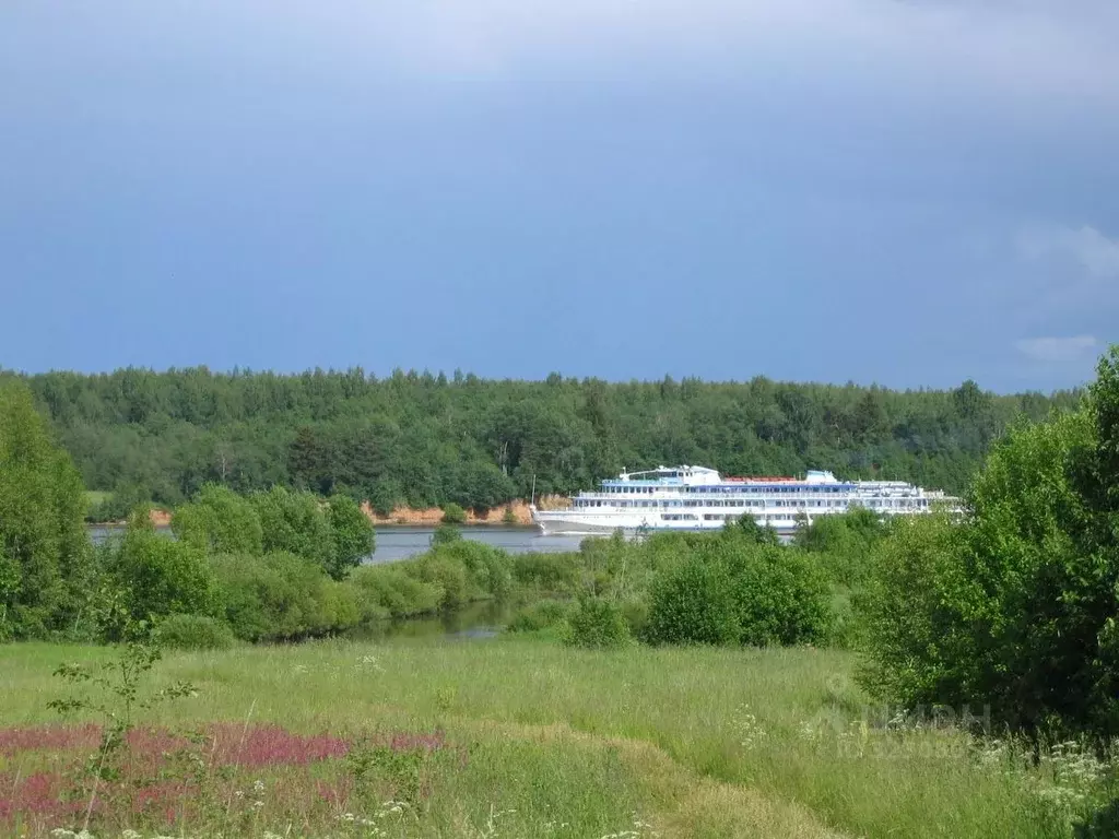 Участок в Ярославская область, Угличский муниципальный округ, д. ... - Фото 2