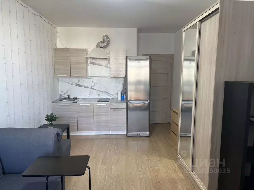 Студия Санкт-Петербург аллея Арцеуловская, 23к1 (24.4 м) - Фото 1