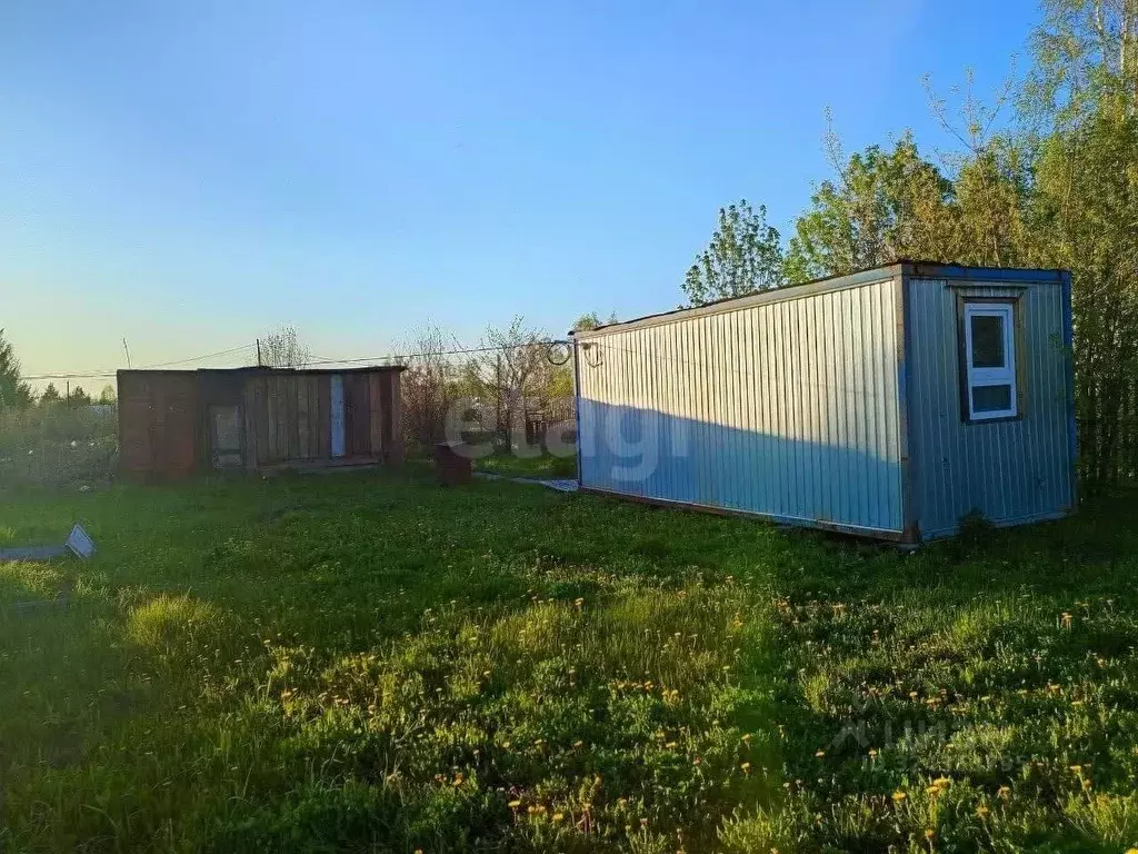 Участок в Тюменская область, Ялуторовский муниципальный округ, Поле ... - Фото 1