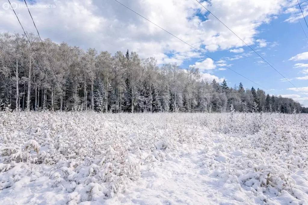 Участок в Наро-Фоминский городской округ, садовое товарищество ... - Фото 1