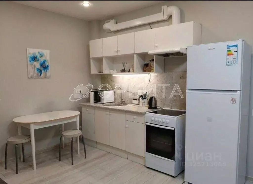 Студия Тюменская область, Тюмень ул. Николая Никитина, 4 (26.6 м) - Фото 1