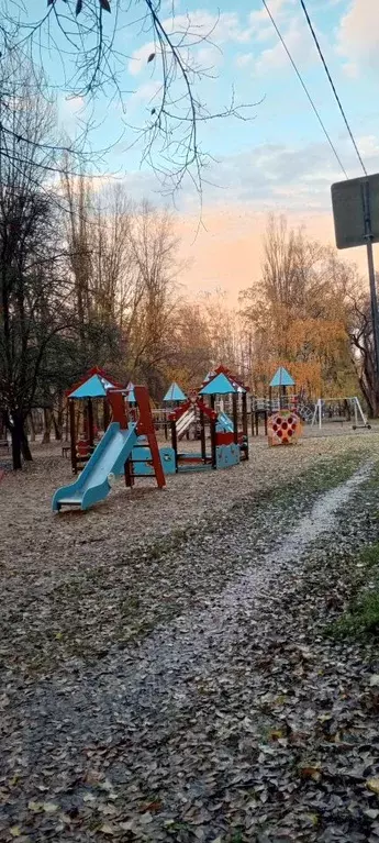 2-к кв. Воронежская область, Воронеж ул. Домостроителей, 37 (45.3 м) - Фото 1