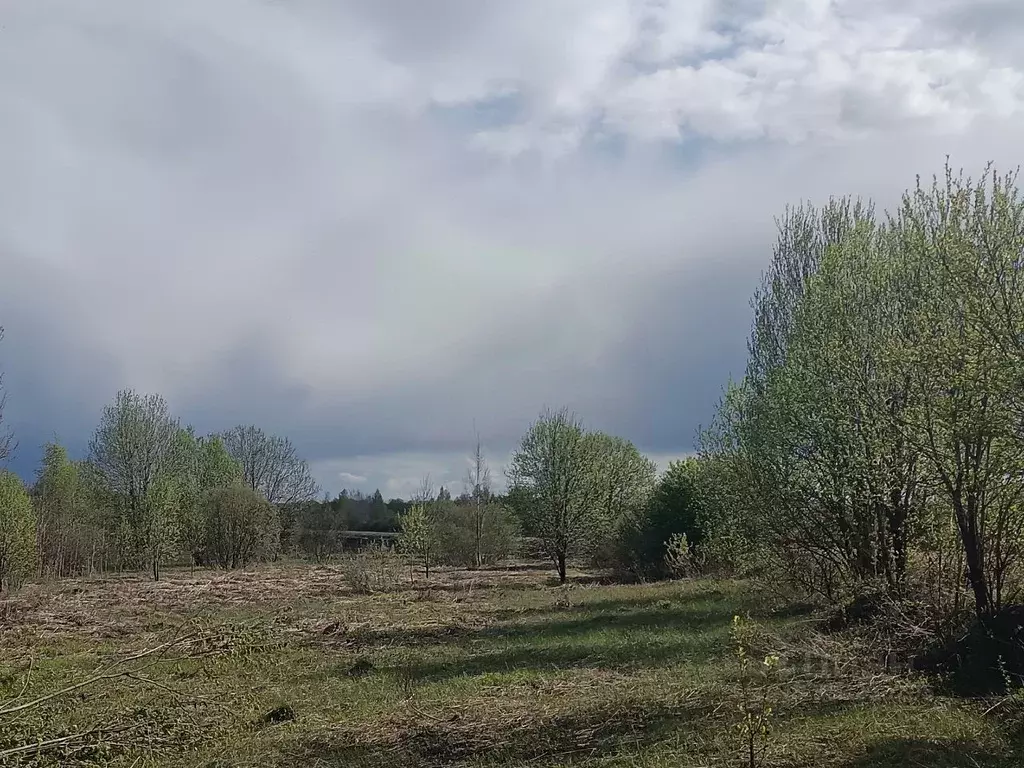 Участок в Новгородская область, Новгородский район, Бронницкое с/пос, ... - Фото 0