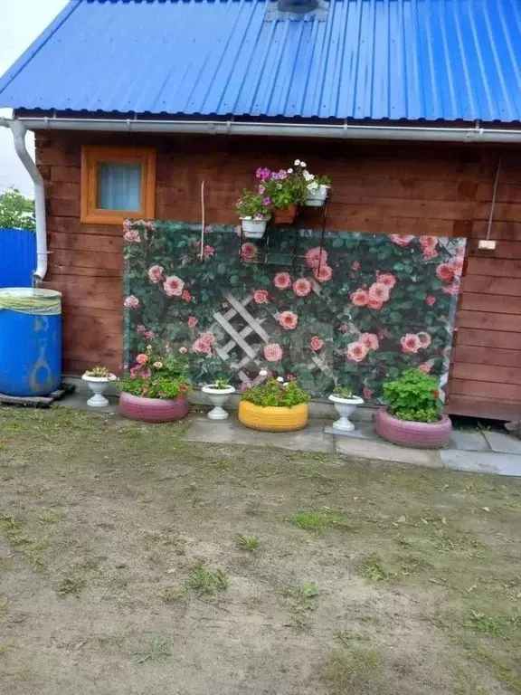 Дом в Тюменская область, Тюмень Ягодное СНТ, ул. Цветочная (48 м) - Фото 1