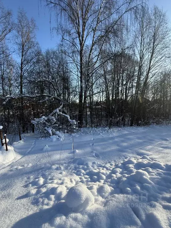 Участок в Ленинградская область, Выборгский район, Рощинское городское ... - Фото 1