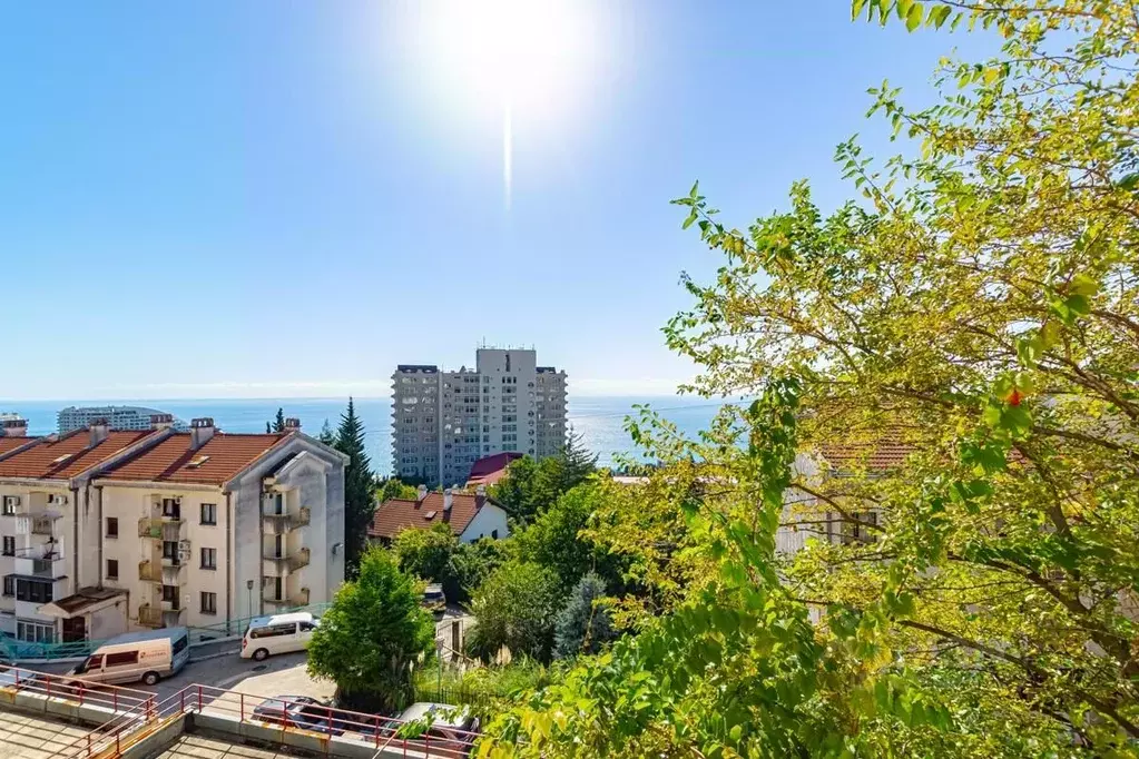 3-к кв. Краснодарский край, Сочи Благодатная ул., 57/1 (94.0 м) - Фото 1