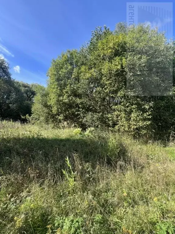 Участок в Ивановская область, Лежневское с/пос, д. Увальево 11 (22.0 ... - Фото 1