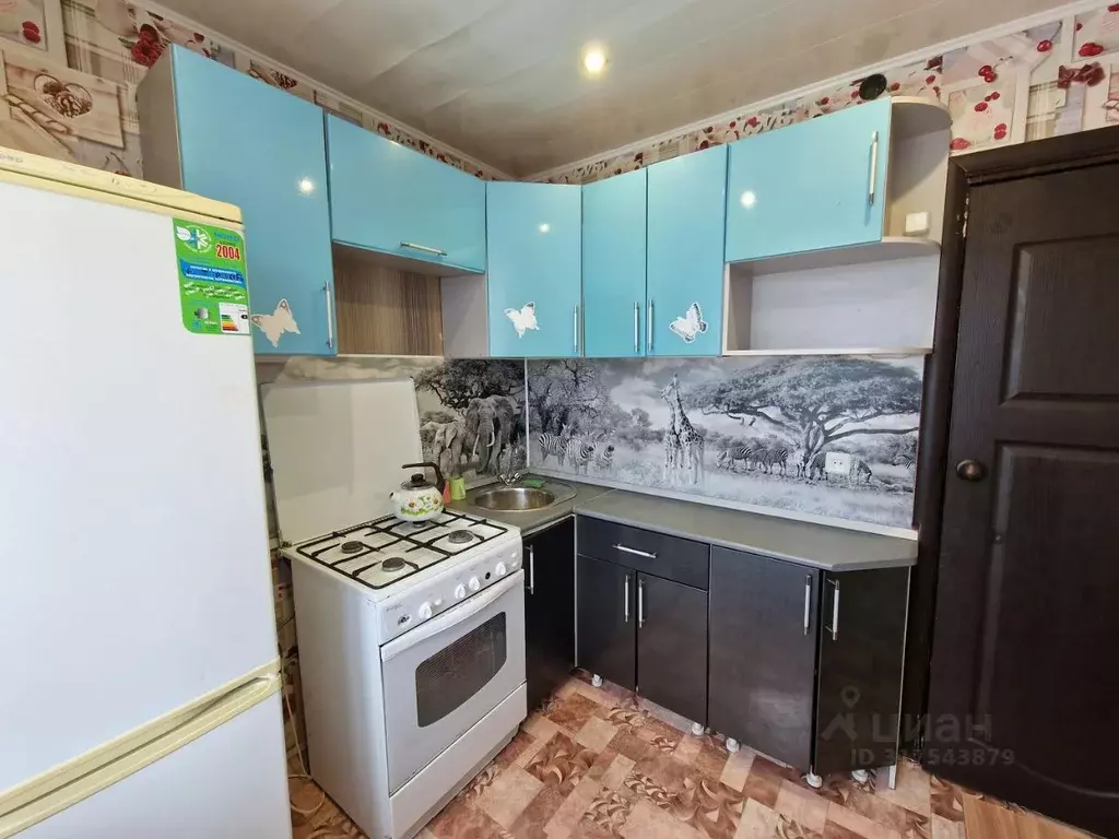 1-к кв. Ульяновская область, Димитровград ул. Осипенко, 26 (32.0 м) - Фото 1